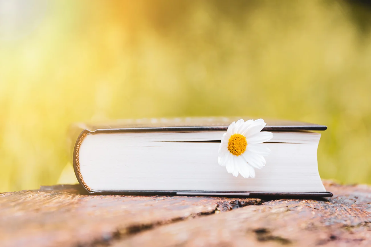 Buch von der Seite mit Blume auf Holz liegend.