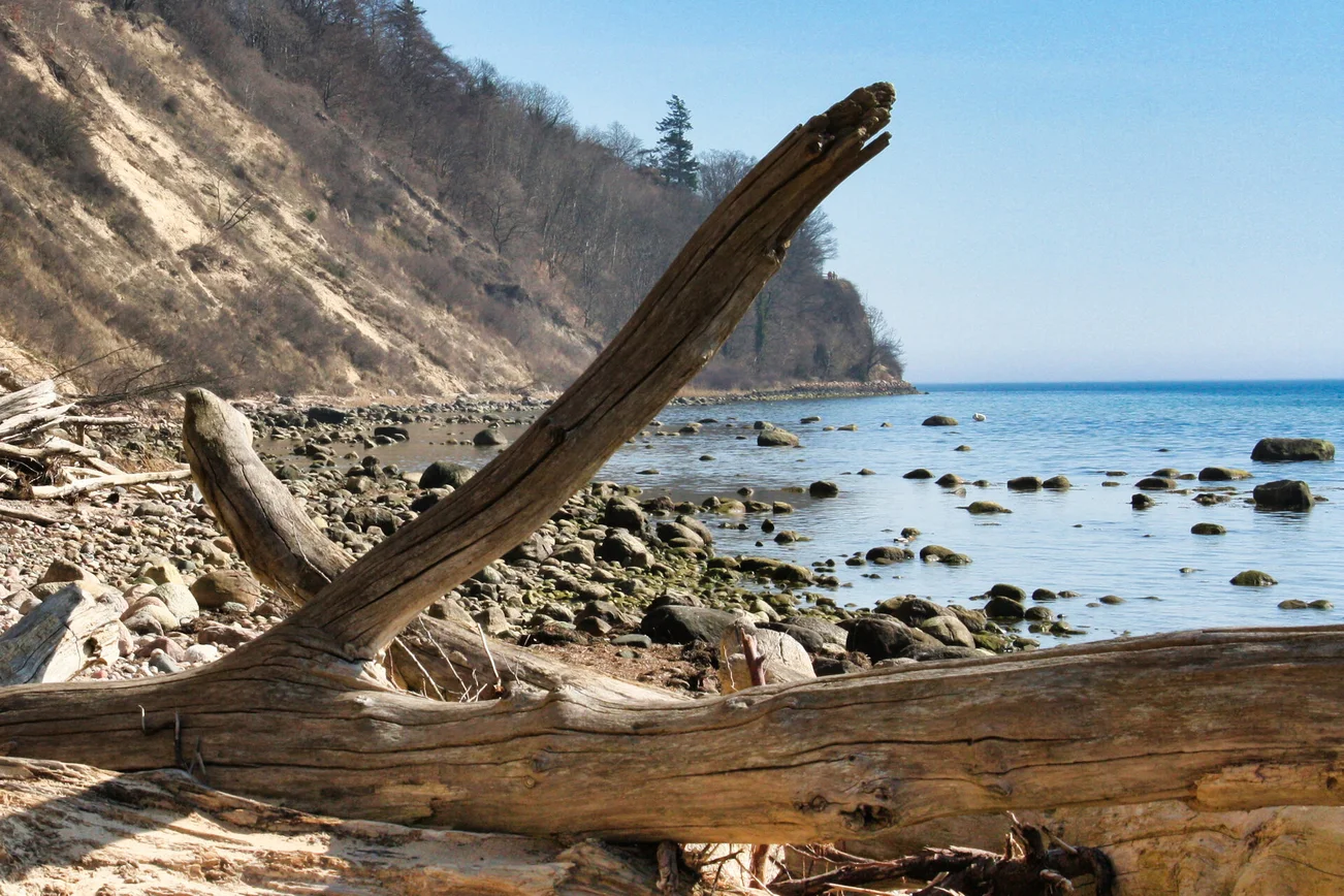 Strandgut vor einer Steilküste
