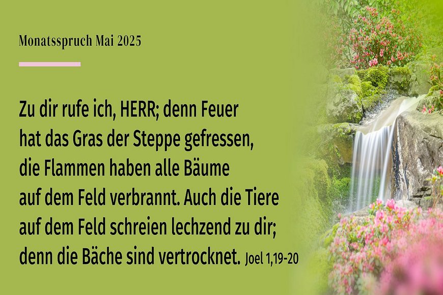 Schwarze Schrift auf grünem Hintergrunde mit Wasserfall und Blüten - Copyright: © 2017 Kath. Bibelanst., Stuttgart-Grafik: © GemeindebriefDruckerei