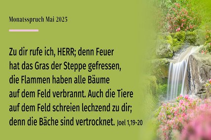 Schwarze Schrift auf grünem Hintergrunde mit Wasserfall und Blüten - Copyright: © 2017 Kath. Bibelanst., Stuttgart-Grafik: © GemeindebriefDruckerei