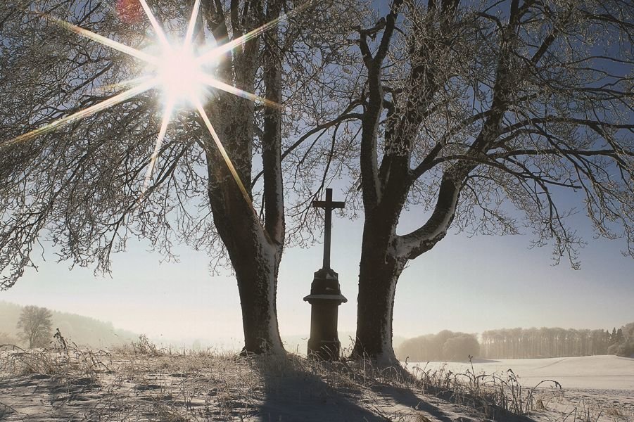 In einer Winterlandschaft steht zwischen zwei Bäumen ein Kreuz auf einem Sockel. Die Sonnen scheint durch den linken Baum.