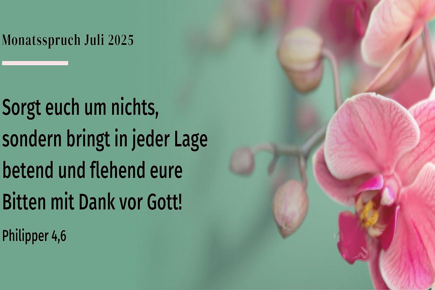 Grüner Hintergrund mit rosa Orchidee - Copyright: N. Schwarz © GemeindebriefDruckerei.de