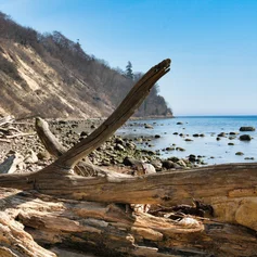 Strandgut vor einer Steilküste